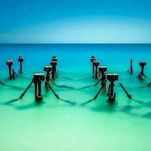 Meet your Posher, Ronald